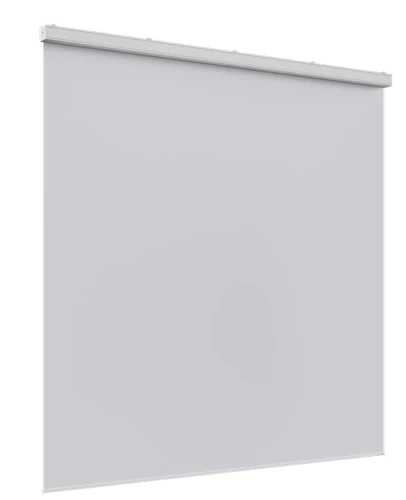 Ekran wielkoformatowy Big One 660 (1:1)