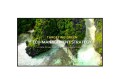 Profesjonalny monitor 50 cali LG 50UL3Q-E 4K UHD w biurze.